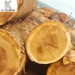 Ktimber Afrikaanse Leverancier Iroko Vierkante Boomstammen Natuurlijk Hout Hard Hout Grondstoffen Afrikaanse Eiken Hout Bouw Gebouw