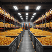 Maïs jaune séché en vrac, naturel, pur, doux, aux grains brillants, sain, qualité supérieure, non-glutineux, qualité alimentaire, durée de conservation 24 mois
