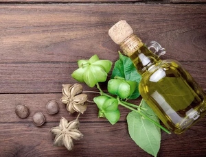 Fournisseur d'huile de Sachi Omega 3,6,9 Sophie - Product Image 3