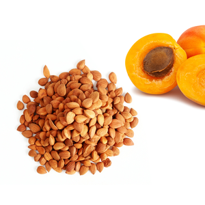 เมล็ดแอปริคอท | บรรจุสำหรับห่วงโซ่อุปทานความงามขายส่ง - Product Image 2