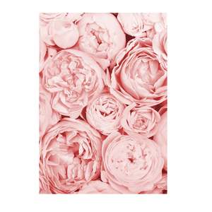 Impresión Artística de Naturaleza Muerta con Flores en Formato A4 sobre Papel - Product Image 1