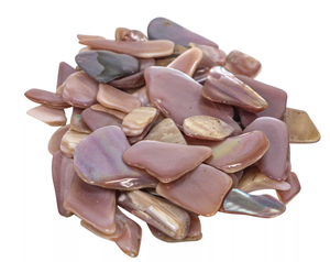 Pezzi di Conchiglia Naturale Lucidati Stile Animale per Artigianato, Frammenti di Conchiglie Naturali per Mosaici in Resina e Creazione di Gioielli - Product Image 6