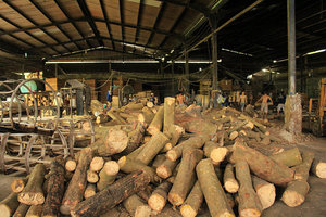 Madera de goma vietnamita, madera de alta calidad, precio competitivo, procedente de Vietnam, Exportación a todo el mundo - Product Image 3