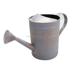 Customized <b>Garden</b> Decorative Water <b>Cane</b> Unique Design Most Popular Hot Selling Metal Water Can Affordable Price - Product Image 1