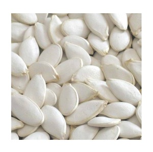Semillas de calabaza frescas de alta calidad, color blanco nieve - Product Image 3