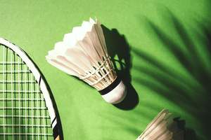 Lift Ace shuttlecock design de logo personnalisé professionnel de haute qualité - Product Image 4