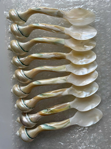 Cuchara de concha marina hecha a mano, cuchara de concha con mango de Caracol de primera calidad, cuchara de concha de madre perla para caviar, elegancia de comedor fina - Product Image 3
