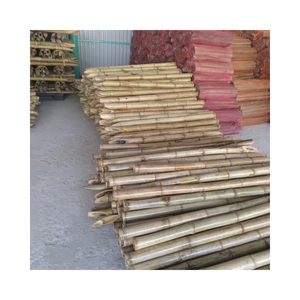 Piquet de bambou du Vietnam pour arbre de soutien à bon prix - Product Image 1