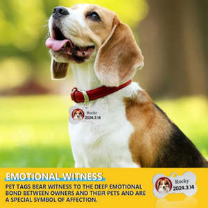 Etiquette de chien en acier inoxydable gravée au laser double face 5*3cm Etiquettes d'animaux - Product Image 4