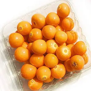 HOT EXPORT DRIED GOLDEN BERRY GOOD PRICE FROM VIET NAM/ TOP EXPORT DRIED GOLDEN BERRY HIGH QUALITY