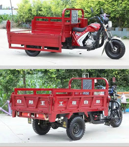 Triciclo Eléctrico de Carga con Parabrisas, Carrocería Abierta de 3 Ruedas para Transporte de Productos Agrícolas, Gran Capacidad de Carga - Product Image 6