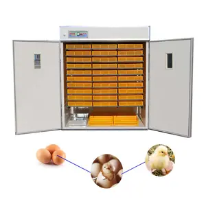 Holding 5000 eggs CE Approved Professional incubator industrial hatching machine for chick