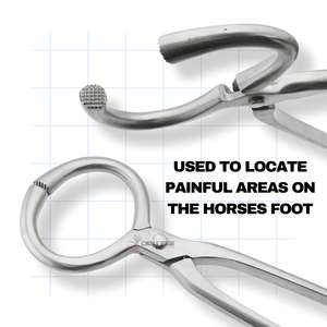 Testeur personnalisé de détection d'abcès de sabot de cheval Pince de diagnostic de boiterie Testeur de sabot antirouille Testeur de sabot antidérapant de 13 pouces - Product Image 5