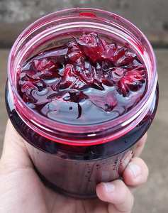 Roselle rouge sucrée de qualité supérieure en sirop Ingrédient polyvalent pour les boissons et les desserts en provenance du Vietnam - Product Image 3