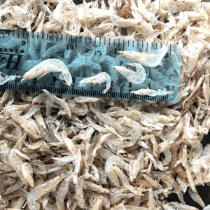 กุ้งทารกตากแห้งผลิตในเวียดนาม // คุณภาพสูง - Product Image 6