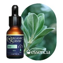 Huile Essentielle Pure Biologique Essencia 100% 15ml - Sauge, Thé Blanc, Encens et Orange Douce - Product Image 2