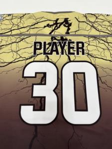 Camisetas de Hockey sobre Hielo Unisex 2024 con Logotipo Personalizado, Nueva Colección al por Mayor, Ropa Deportiva Personalizada con Costuras Superiores para Adultos - Product Image 5