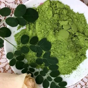 Toptan organik moringa tozu yaprak özü bitkisel sağlık için iyi Vietnam üreticiden ucuz fiyat