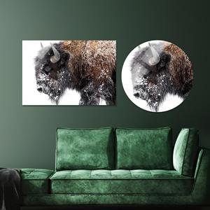 Tableau imprimé sur toile : Bison dans une scène naturelle majestueuse, Circle Glass - Product Image 1