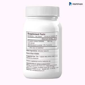 Capsules de gestion du poids pour adultes La forskoline favorise le métabolisme des graisses Rétention musculaire maigre Extrait de plantes sans danger pour les femmes enceintes - Product Image 2