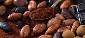 Disponible à la vente poudre de cacao alcalinisée naturelle biologique et poudre de cacao naturelle du Vietnam fèves de cacao - Product Image 3