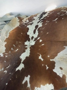 Short OEM professionnel en cuir de vache véritable personnalisé pour femmes vente en gros de shorts multicolores dans toutes les tailles et toutes les couleurs GW-RCMS-02 - Product Image 3