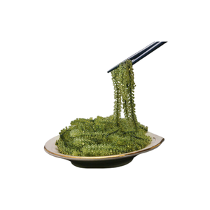 HOT SELLING CHEAP PRICE GRAPE <b>SEAWEED</b> FROM VIETNAM READY to EXPORT - Product Image 1