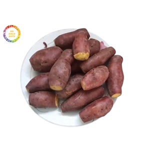 Patate douce vapeur surgelée, emballage personnalisé, patate douce IQF entière pelée/non pelée, haute qualité, approvisionnement B2B pour l'exportation - Product Image 5
