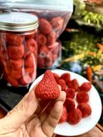 Premium Kwaliteit Gedroogde Aardbei En Gevriesdroogd Fruit Groothandel Van Natuurlijke, Gezonde Snacks Voor Wereldwijde Kopers