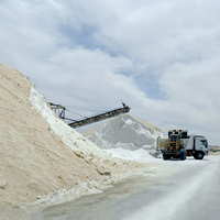 Sal de Deshielo a Granel de Grado Industrial, 98% de Pureza de NaCl, para Uso en Carreteras en Invierno