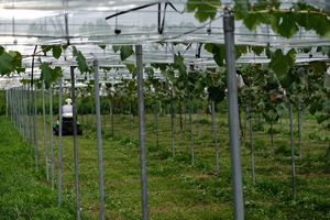 เครื่องยนต์ Orec 2025 รุ่น New Rabbit 28v 21v 24v DIY อุตสาหกรรม 4 จังหวะ 2 จังหวะ คุณสมบัติ 125cc 173cc 1600W 1800W เบนซิน ไฟฟ้า 170cc 190cc - Product Image 3