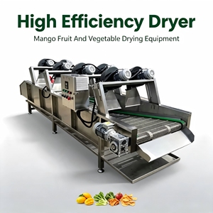 Machine de déshydratation automatique à circulation d'air chaud pour fruits et légumes, séchage par lots dans une usine de transformation alimentaire - Product Image 1