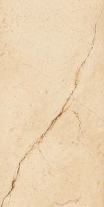 Les couleurs lumineuses ont adapté la fabrication aux besoins du client de carrelages émaillés par porcelaine en Inde pour le lobby d'hôtel. - Product Image 3