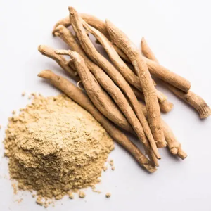 Hữu Cơ Ashwagandha chiết xuất từ rễ bột extracto de Ashwagandha Hữu Cơ witraina <span class=keywords><strong>somnifera</strong></span> chiết xuất từ rễ - Product Image 4