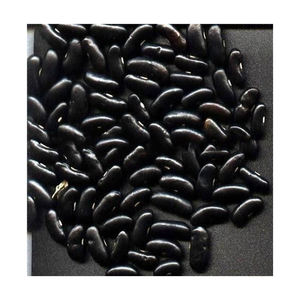 Frijoles negros al por mayor a la venta a precio barato, cantidad a granel disponible - Product Image 1