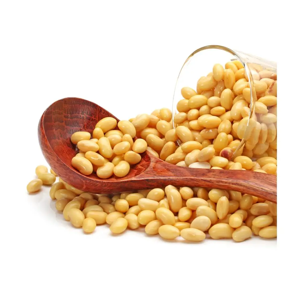 하이 퀄리티 프리미엄 천연 및 비 GMO 황색 콩씨/콩/콩 펩타이드 90% 건조 콩 일반 식물