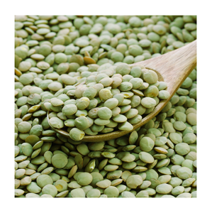 Lentilles vertes/Lentilles vertes biologiques prêtes à l'exportation - Product Image 3