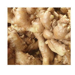 ขิงสดเกรดสูงที่มีรูปลักษณ์ที่โดดเด่นและอายุการเก็บรักษาที่ยาวนานเหมาะสำหรับการสั่งซื้อขนาดใหญ่ - Product Image 4