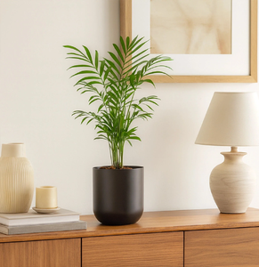 Jardinières blanches triples avec support doré, mélange parfait de simplicité et de luxe pour la décoration intérieure, disponibles au prix de gros. - Product Image 2