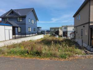 Furano Prime Immobilier à Hokkaido au Japon avec des solutions de conception de bâtiments de style traditionnel et de modélisation 3D - Product Image 3