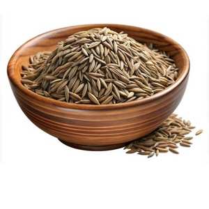 Graines de cumin noir naturel de haute qualité | Aromatique pur et naturel I Sans gluten I Sans OGM I Origine indienne I Curry - Product Image 1