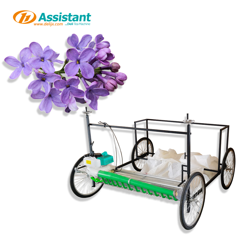DL-4CP-1210W Lavender Flowers Stevia Harvester Herb Leaf Leaves Harvest Herb Tea Harvester