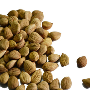 Almendras Crudas Secas de Primera Calidad, Grado Alimenticio, a Buen Precio - Product Image 5