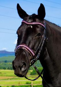 Noseband Horse สีดำขนาด<span class=keywords><strong>2</strong></span>นิ้วสำหรับบังเหียนนักล่าพร้อมผลิตภัณฑ์หนังฟรี - Product Image 5
