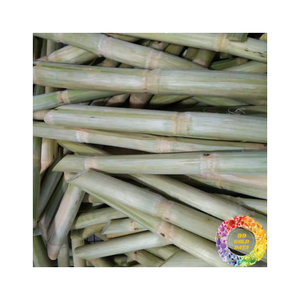 Canne à sucre sucrée congelée Clean Cut scellée sous vide pour l'exportation et un long stockage Idéal pour le jus et le service alimentaire - Product Image 1