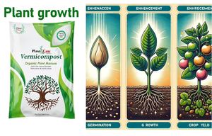 Vermicompost organique 100% pour la revitalisation des sols, les pelouses, l'horticulture et l'agriculture. - Product Image 5