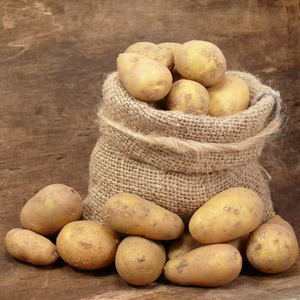 Patatas Frescas Orgánicas de Primera Calidad (Solanum Tuberosum) en Venta - Product Image 1