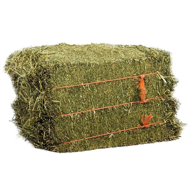 ハイデザートアルファルファ干し草-ウサギ、モルモット用の乾燥天然アルファルファ干し草-