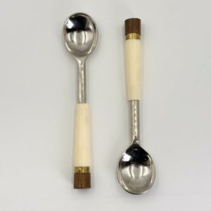 Juego de Utensilios para Helado con Diseño Elegante, Mango de Resina, Estilo Moderno, Juego de 2 Cucharas para Helado de Acero Inoxidable en India - Product Image 3