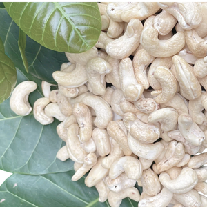 เม็ดมะม่วงหิมพานต์แบบเม็ดมะม่วงหิมพานต์จากเวียดนามถั่วเม็ดมะม่วงหิมพานต์ Ww180 Ww240 Ww320ราคาถูก - Product Image 1